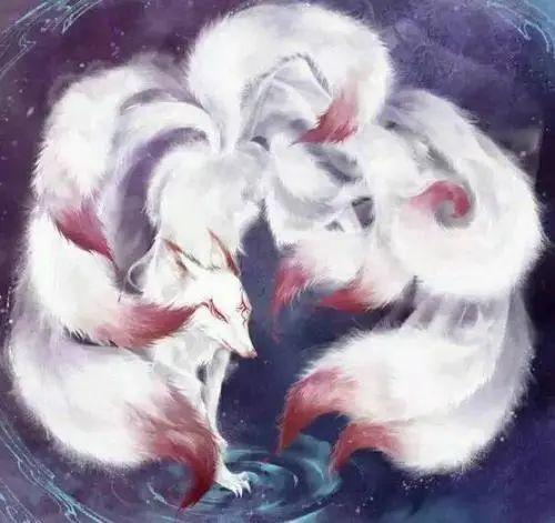 国产九尾动漫在线观看,探寻东方奇幻世界的魅力之旅