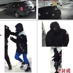 亚洲国产捆绑在线,探索独特文化魅力与市场潜力